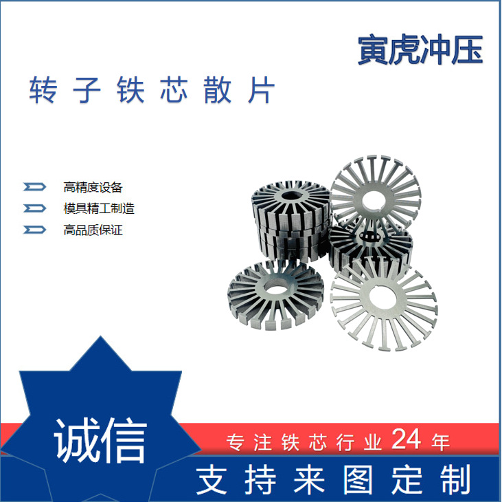 Electronic iron core flakes